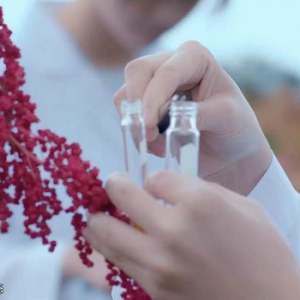 三草两木，以自然打造超级产品力