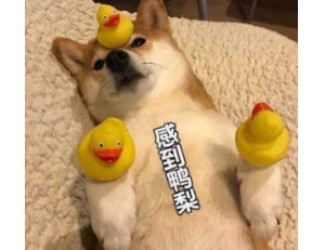 有第三代哈弗H6 与视野盲区说再见