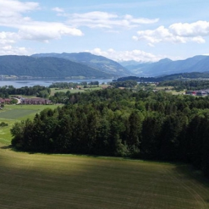 成为皮肤治疗领域的“领航员”，Mavena树立行业发展之标杆