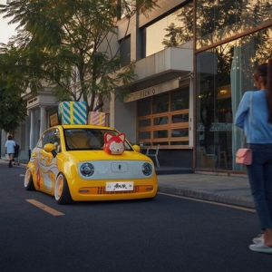 订阅化产品备受“她”青睐，欧拉聚焦女性引领消费新范式