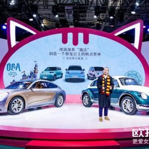 “爱你就欧拉”，高情商电动汽车是如何炼成的？