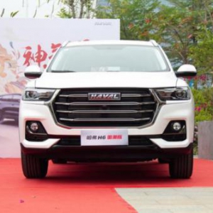 哈弗H6国潮版购车指南：动力不同这么选