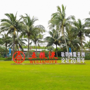 五粮液的“博鳌时间”：以大国浓香“和美”文化，见证大国气度！