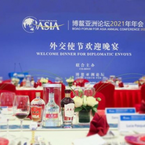 中国白酒 世界表达 五粮液飘香博鳌亚洲论坛外交使节欢迎晚宴