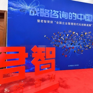 君智战略咨询谢伟山：用“中国智慧”实现“中国式”逆袭
