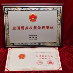 东航集团：召开脱贫攻坚总结表彰会 启航帮扶新征程