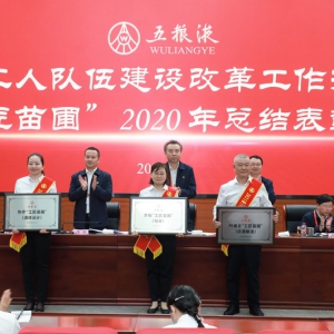 鼓励青年职工走技能成才、技能报国之路 五粮液集团干了这件事