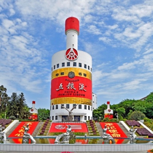 五粮液：从中国到世界的品牌之路