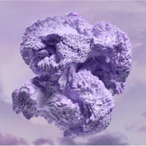 Coloro 与WGSN联合发布2023年度色：数字薰衣草色