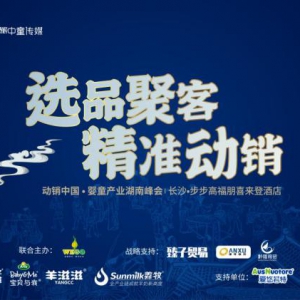 解析湖南母婴赋能新篇，动销中国婴童产业区域湖南峰会圆满落幕！