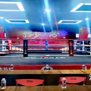 2021少林擂台英雄全国格斗联赛 海选晋级赛深圳举行