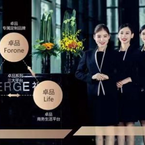 卓越荣耀，荣获三大行业奖项展现不凡实力