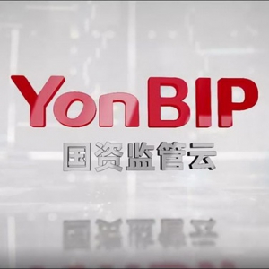 用友BIP助力国资监管数智转型