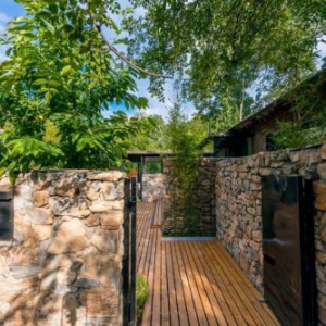 科技拥抱产业 中国三星探索乡村振兴发展新模式