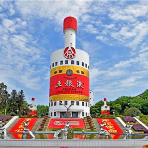 党建领航　五粮液肩上有担当，脚下有力量