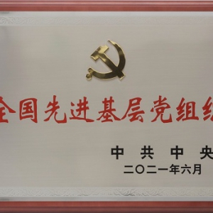 党建引领托起中国民族品牌骄子--山东鲁花集团党委被授予全国先进基层党组织的启示