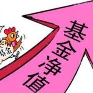 小帮商学院告诉你什么是基金净值？