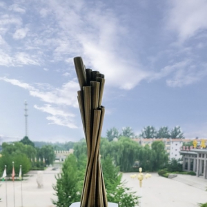 汇源荣获第21届IAI传鉴国际广告奖·媒介代理投放优秀奖