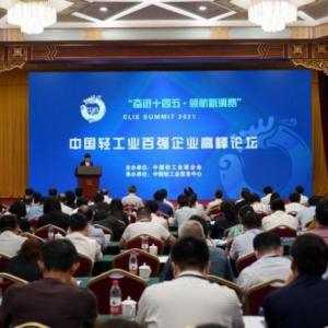 2020中国轻工业百强企业公布，天能集团进入前五