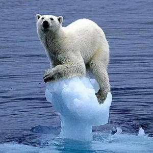 双宝元科技智能+环保，硅晶电热产品睡出幸福感和高颜值