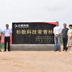 杉数科技的“双碳”行动：保护母亲河，杉数常青林启动建设
