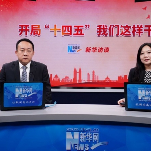 “开局十四五 我们这样干” 大龙网董事长冯剑峰新华网视频访谈实录