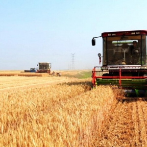 川粮米业：落实“中国好粮油”行动，稳步提升企业综合水平