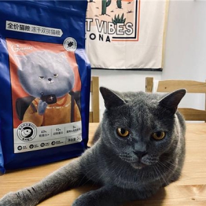 “育儿式养宠”兴起，考拉海购推出宠物专属品牌