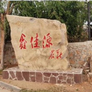 深入营造健康农业业态，鑫鹿源绿色农产品补充营养助阵强身健体