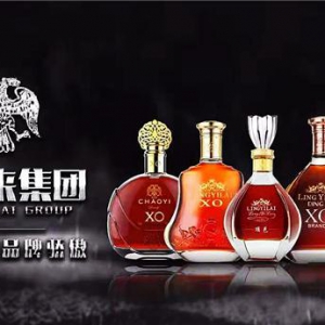 中国精英会斥资30亿携手开仓放良 打造中国白兰地第一品牌