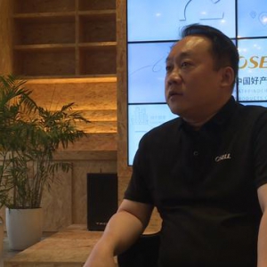 大龙网 “一带一路”上的电商“红娘” 