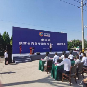 大龙网数字贸易产业服务落子陕西 合阳龙工场正式开园