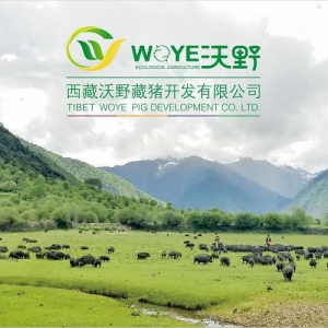 沃野公司 精品藏猪肉，乐享生活幸福