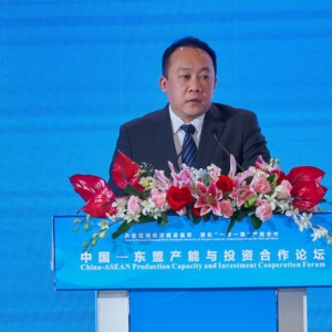 三国大使共同见证、CCTV关注报道， 大龙网冯剑峰东盟博览会发布四大赋能体系