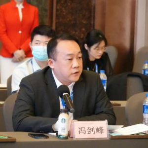 大龙网冯剑峰在中国-东盟博览会首提企业“走出去”三条建议