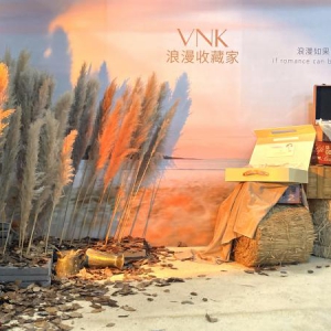 VNK彩妆携手凡几创意展，9月新品【秋日遐思】浪漫上市！