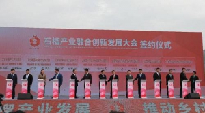 1828王老吉联手石榴草本之乡打开产业扶贫“新思路”