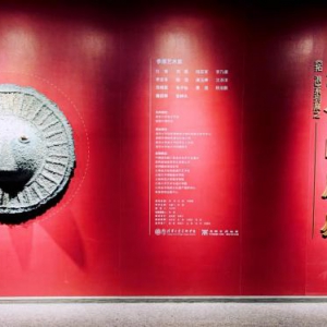 清华美院《生命的质感》在昆明市博物馆滇池后海分馆开展