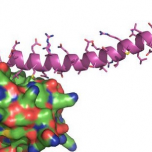 打破多肽技术壁垒，开启抗衰领域新篇章