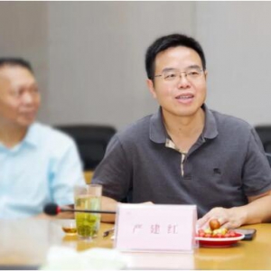 陆羽国际集团陆羽茶交所严建红：人人争做茶文化的传承和弘扬者