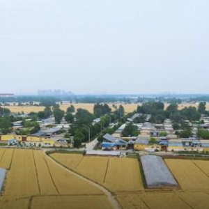 顺势而为，精准“破圈”，开瑞汽车品牌焕新即将发布