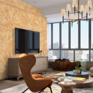 澳思柏恩澳松板：从种好一棵松木开始