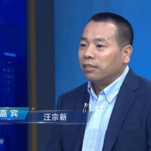“湖北小稀藤生物”董事长汪宗新做客《崛起中国》栏目