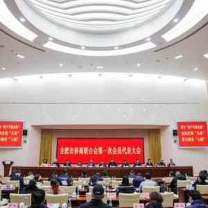 凝聚侨心、汇聚侨智合肥市侨商联合会第一次会员代表大会胜利召开