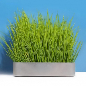 文创盘活文化遗产，激发了年轻人的“文化自信”