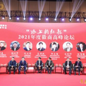 大龙网集团董事长冯剑峰参加徽商全球理事会