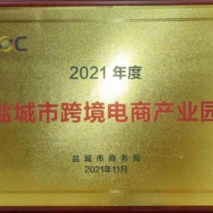 半年进出口额达3.3亿 大龙网盐城龙工场获评市级跨境电商产业园