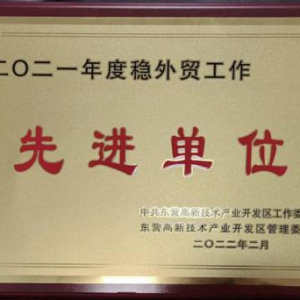 全年跨境电商贸易额达3.2亿  大龙网东营龙工场获评稳外贸先进单位