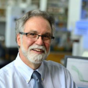 南华生物聚焦主业促进科研 建设国际化高端研发矩阵