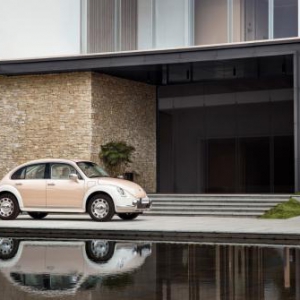 带你读懂复古美学艺术，欧拉芭蕾猫成高知女性的出行新选择